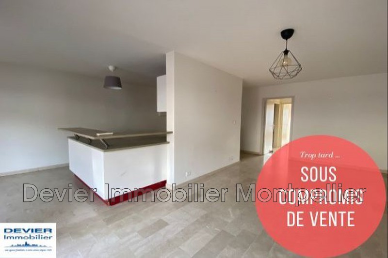 Appartement Montpellier Rondelet,   achat appartement  2 pièces   56&nbsp;m&sup2;