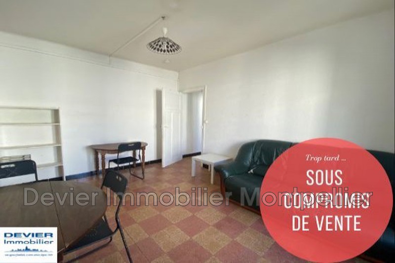 Appartement Montpellier Rondelet,   achat appartement  2 pièces   45&nbsp;m&sup2;