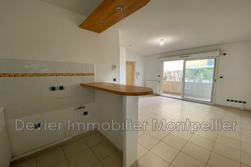 Appartement Montpellier Port marianne,   achat appartement  1 pièce   22&nbsp;m&sup2;