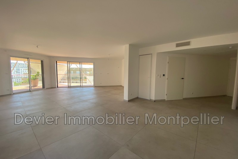 Appartement Montpellier Gare,   achat appartement  4 pièces   108&nbsp;m&sup2;
