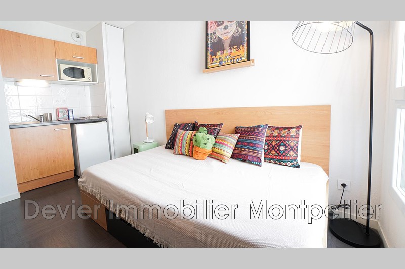 Appartement Montpellier Ovalie,   achat appartement  1 pièce   19&nbsp;m&sup2;