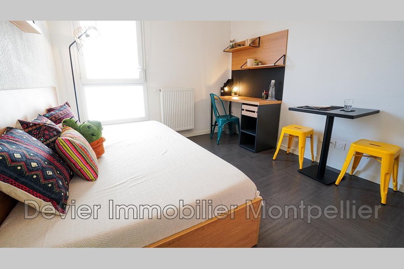 Appartement Montpellier Ovalie,   achat appartement  1 pièce   19&nbsp;m&sup2;
