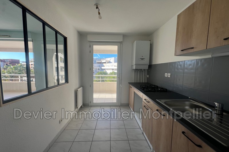 Apartment Montpellier Port marianne,   to buy apartment  3 rooms   60&nbsp;m&sup2;