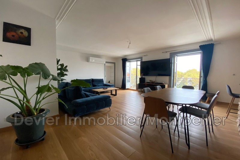 Appartement Montpellier Comédie,   achat appartement  4 pièces   115&nbsp;m&sup2;