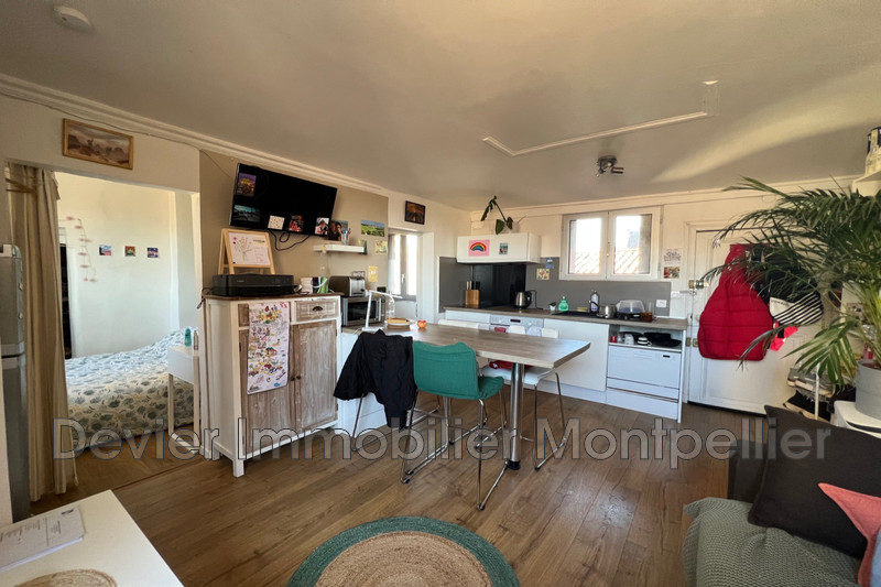 Apartment Montpellier Ecusson,   to buy apartment  2 rooms   32&nbsp;m&sup2;