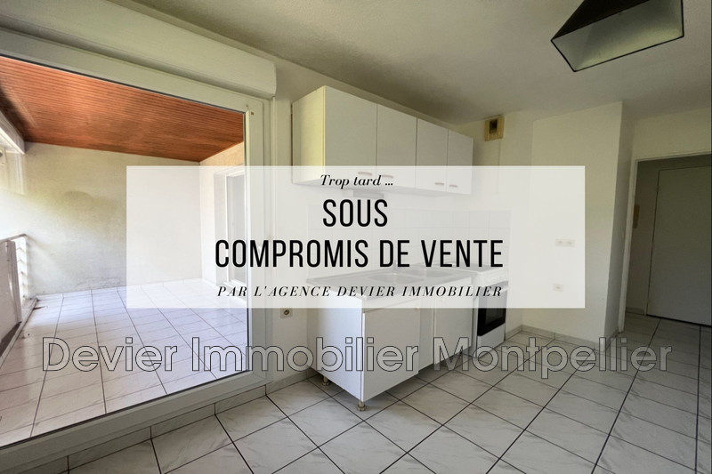 Appartement Montpellier Croix d&#039;argent,   achat appartement  2 pièces   51&nbsp;m&sup2;