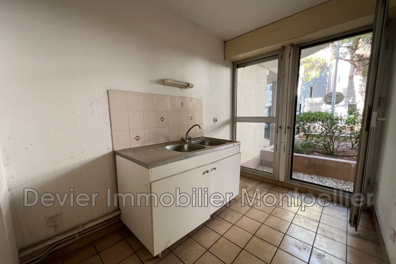 Appartement Montpellier Bagatelle,   achat appartement  1 pièce   36&nbsp;m&sup2;