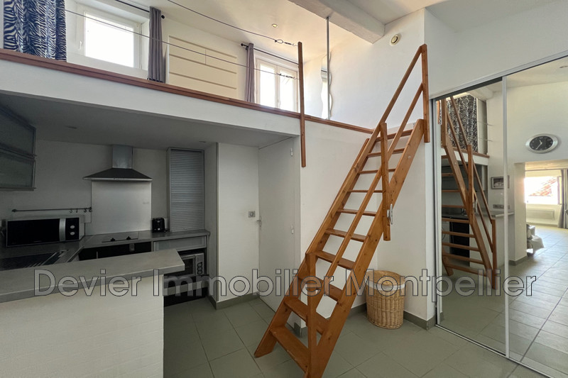Apartment Montpellier Ecusson,   to buy apartment  2 rooms   45&nbsp;m&sup2;