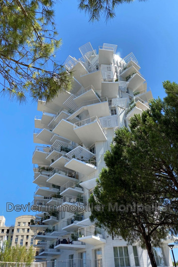 Apartment Montpellier Richter,   to buy apartment  2 rooms   44&nbsp;m&sup2;