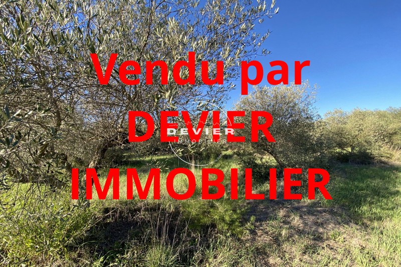 vente terrain agricole Saint-geniès-des-mourgues Castries Terrain agricole Saint-Geniès-des-Mourgues Castries, achat terrain agricole 4040 m²