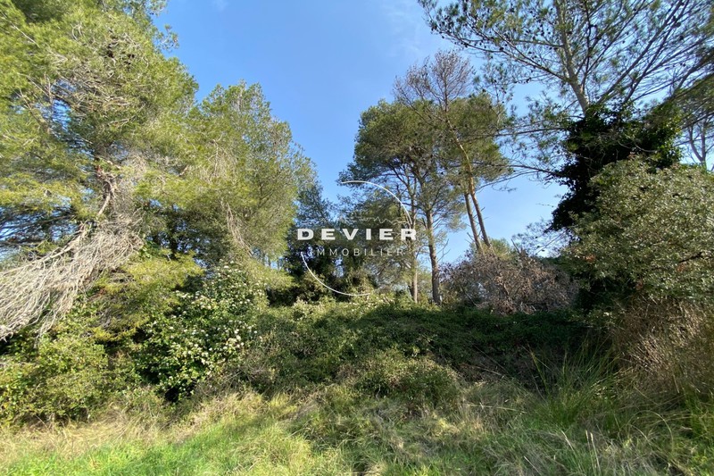 vente Terrain Saint-geniès-des-mourgues Castries Terrain Saint-Geniès-des-Mourgues Castries, achat terrain 2110 m²