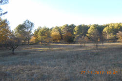 Photos Terrain à bâtir à vendre Draguignan 83300