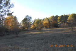 Photos Terrain à bâtir à vendre Draguignan 83300