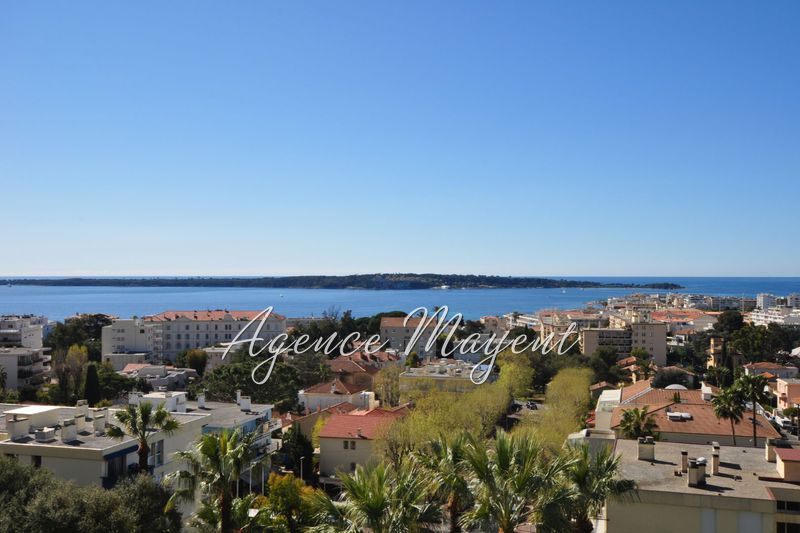 Photo Appartement Cannes Basse californie, achat appartement 4 pièces 121 m²