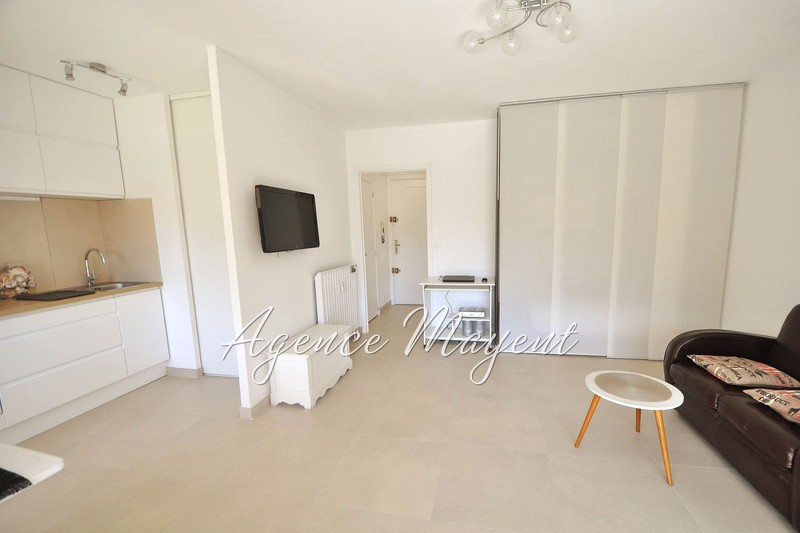 vente Appartement Cannes Basse californie Appartement Cannes Basse californie, achat appartement 1 pièce 31 m²