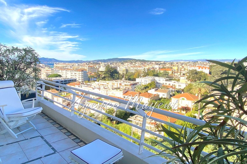 Appartement Cannes Basse californie,   achat appartement  1 pièce   30&nbsp;m&sup2;