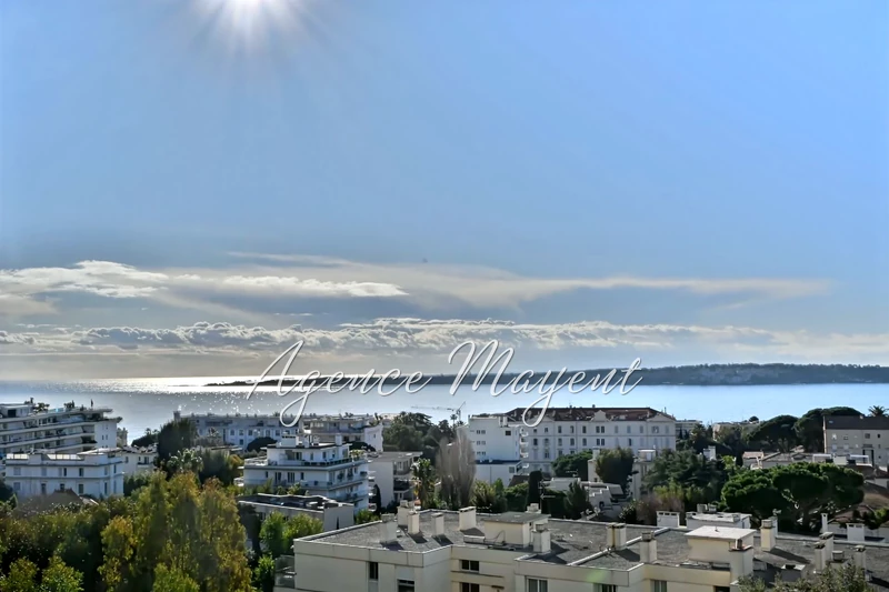 Vente appartement Cannes  