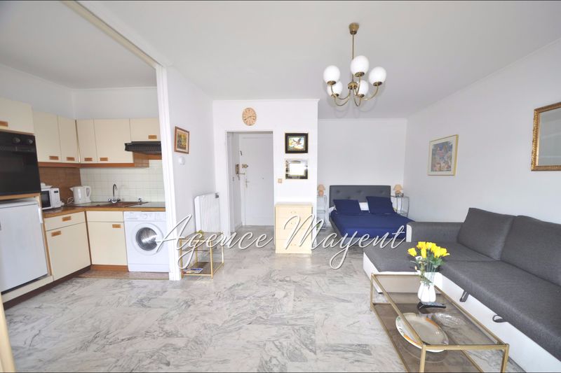 vente Appartement Cannes Basse californie Appartement Cannes Basse californie, achat appartement 1 pièce 31 m²