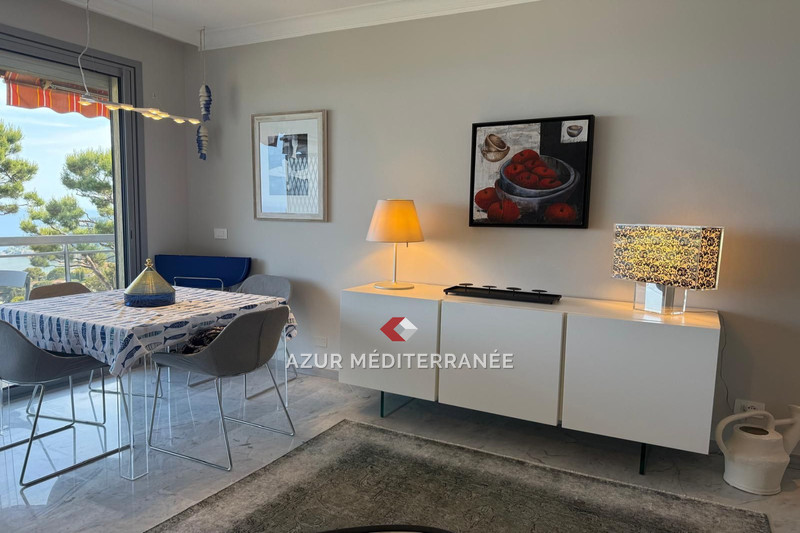 Location saisonnière appartement Villefranche-sur-Mer  