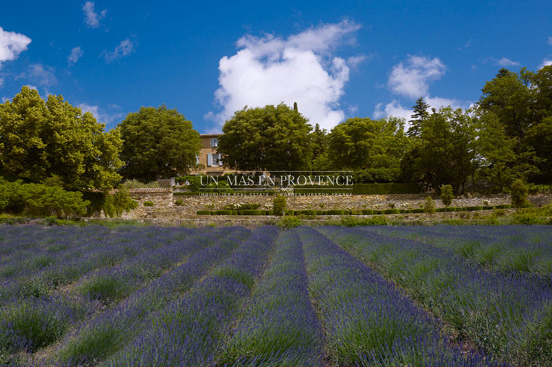 Location saisonnière maison Viens Location saisonnière maison Viens Maison Viens Luberon, Location saisonnière maison 7 chambres