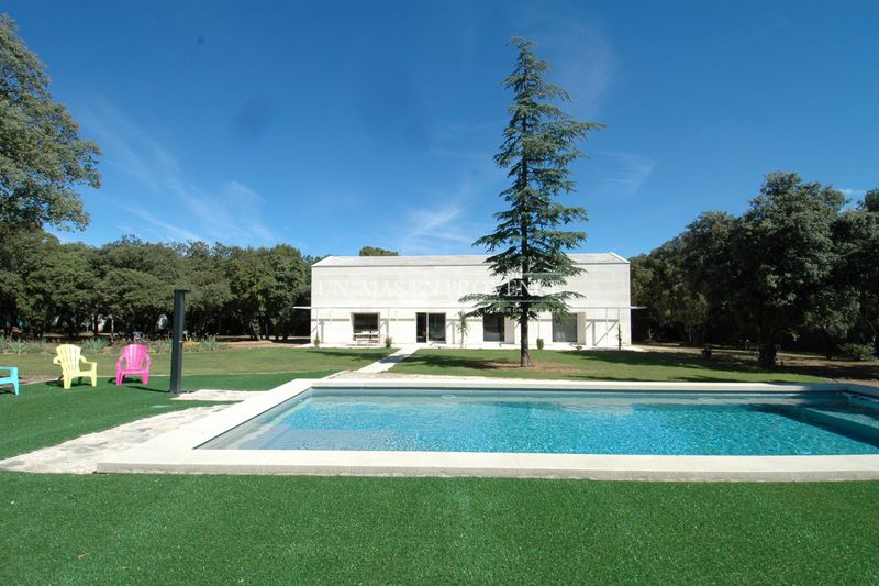Un Mas En Provence Immobiliere