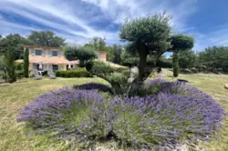 Location saisonnière bastide Murs  