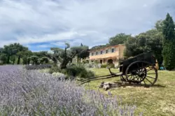 Location saisonnière bastide Murs  