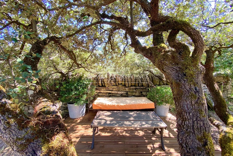 Location saisonnière maison en pierre Gordes  