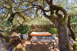 Location saisonnière maison en pierre Gordes  