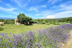 Location saisonnière mas Bonnieux  