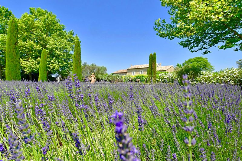 Location saisonnière mas Gordes Location saisonnière mas Gordes Mas Gordes Luberon, Location saisonnière mas 7 chambres 600 m²