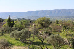 Vente terrain Gordes IMG_4088.JPG 