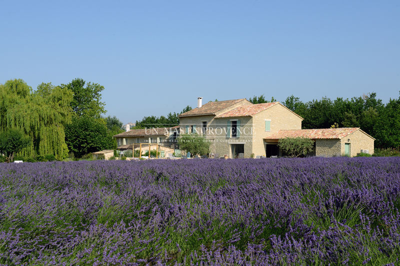 Vente demeure de prestige Gordes Vente demeure de prestige Gordes Luxury property Gordes to buy luxury property 11 bedrooms 500 m²