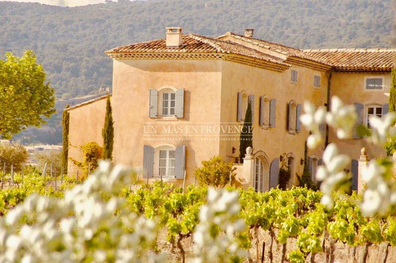 Vente demeure de prestige Saint-Saturnin-lès-Apt Vente demeure de prestige Saint-Saturnin-lès-Apt Demeure de prestige Saint-Saturnin-lès-Apt Luberon, achat demeure de prestige 9 chambres 500 m²