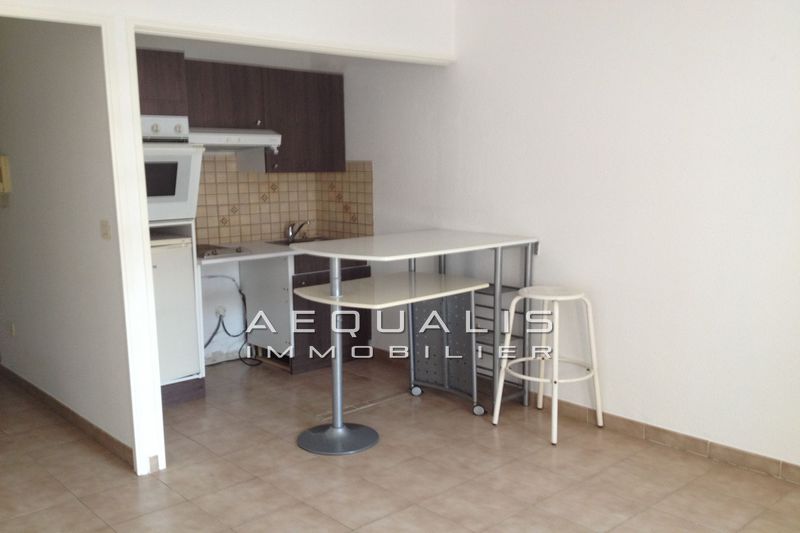 vente Appartement Cagnes-sur-mer Centre-ville Appartement Cagnes-sur-Mer Centre-ville, Location appartement 1 pièce 21 m²