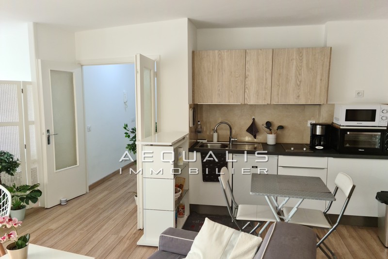 Location appartement Saint-Laurent-du-Var  