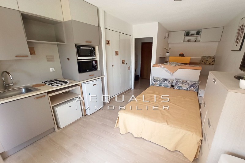 vente Apartment Cagnes-sur-mer Downtown Apartment Cagnes-sur-Mer Centre-ville, Rentals apartment 1 room 21 m²