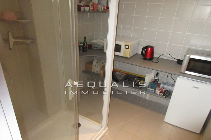 Professionnel local commercial Saint-Laurent-du-Var  