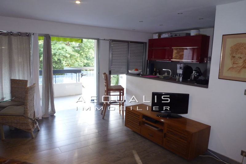 vente Appartement Mandelieu-la-napoule Mandelieu Appartement Mandelieu-la-Napoule Mandelieu, achat appartement 2 pièces 57 m²