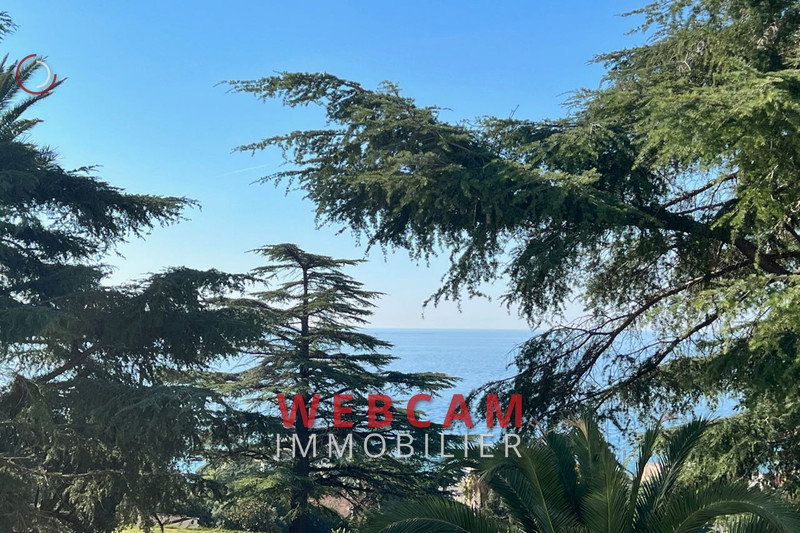 Vente Idéal investisseur Cannes  
