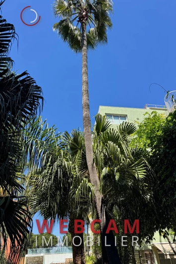 Vente Idéal investisseur Antibes Vente Idéal investisseur Antibes