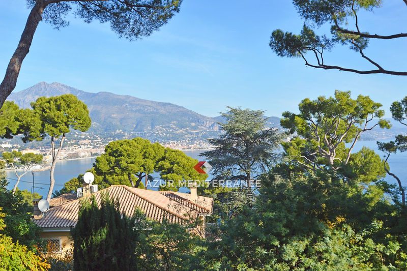 Photo Villa Roquebrune-Cap-Martin Proche plages,   achat villa  4 chambres   198&nbsp;m&sup2;