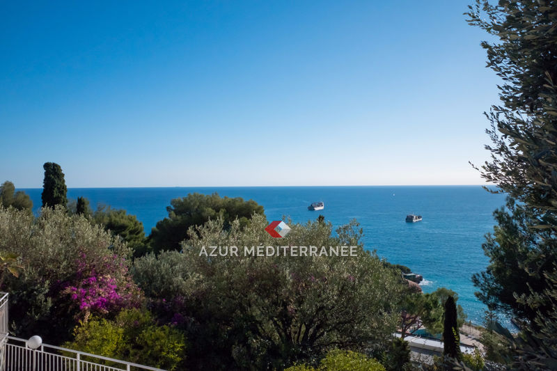 Photo Maison Roquebrune-Cap-Martin Proche plages, achat maison 7 chambres 288 m²