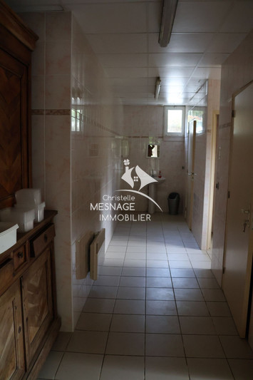Professionnel  Plouasne  