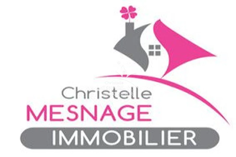 Professionnel  Dinan  