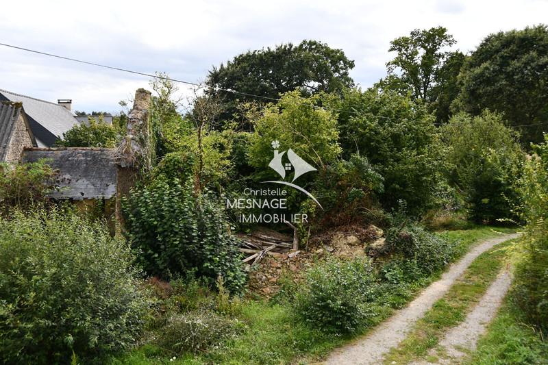 Vente maison en pierre Dinan  