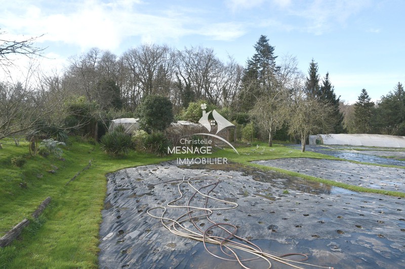 Vente maison en pierre Dinan  