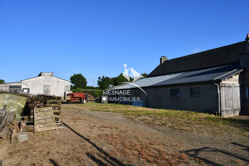 Vente maison en pierre Plouasne  