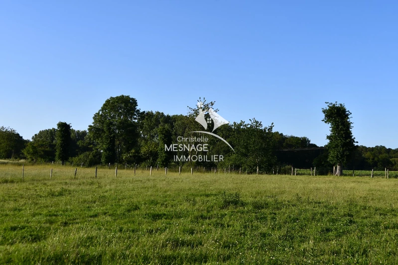 Vente maison en pierre Plouasne  