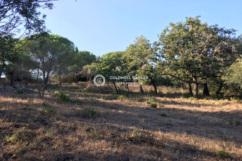 Photo Terrain Grimaud Golfe de st tropez, achat terrain 1500 m²